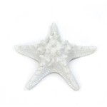 Estrela do Mar Decorativa Branca