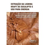 Extração da Lignina Kraft de Eucalipto e Uso para Energia