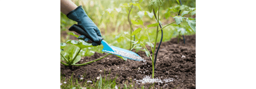 Fertilidade do Solo e Nutrição Mineral de Plantas | ANHANGUERA | PRESENCIAL Inscrição