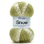 Fio Cisne Snow 100g 074 Verde/branco