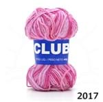Fio Club Mescla 40g 2017 - Rosada