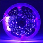 Fita Led Ultravioleta 5050 - Rolo com 5 Metros | Ledsafe®