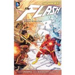 Flash, The, V.2 - Rogues Revolution