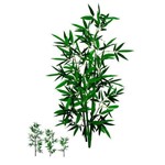 FLOR e ARTE- Árvore Bamboo Real Toque VERDE- 1,20 M- 31963-001