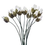 Flores Artesanais Botões Toke e Crie Flor174 Branco Coleção Delicada