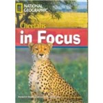 Footprint Reading Library - Level 6 - 2200 B2 - Cheetahs In Focus - Britis
