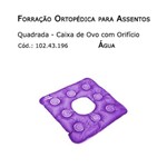 Forrações de Assento - Caixa de Ovo Quadrada com Orifício (agua) - Bioflorence - Cód: 102.0196