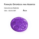 Forrações de Assento - Caixa de Ovo Redonda (água) - Bioflorence - Cód: 102.01.007
