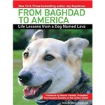 From Baghdad To America