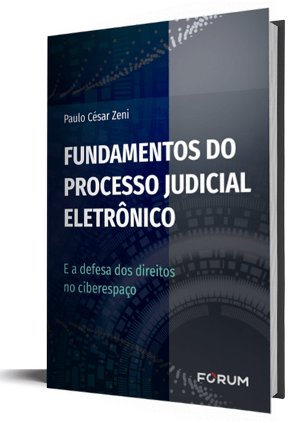 Fundamentos do Processo Judicial Eletrônico e a Defesa dos Direitos no Ciberespaço