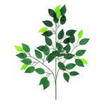 Galho de Folha de Ficus 30 Unidades