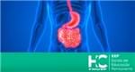 Gastrão - Atualização do Aparelho Digestivo, Coloproctologia e Transplantes - USP