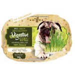 Graminha para Cães Digestive Grass 100% Natural 50g