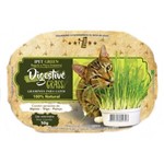 Graminha para Gatos Digestive Grass 100% Natural 50g