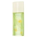 Green Tea Honeysuckle Elizabeth Arden - Perfume Feminino - Eau de Toilette 100ml