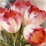 Guardanapo Tulip Tulips Dream