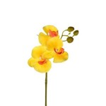 Haste Orquídea Real Toque X3 Amarelo - Grillo