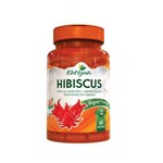 Hibiscus Vegan 60 Cáps 500 Mg Katiguá