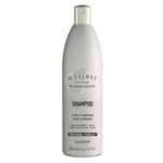 Il Salone Brilho e Vitalidade - Shampoo 500ml