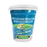 Iogurte Leite de Ovelha Mirtilo Sem Lactose 500g - Casa da Ovelha