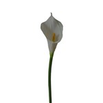 Kit 6 Flores Artificiais Copo de Leite Branco