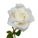 Kit 6 Rosas Brancas Artificiais em Silicone Super Delicada