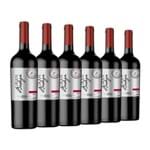 Kit de Vinhos Importados Argentino 6 Garrafas Tinto 750ml