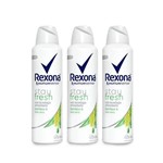 Kit Desodorante Antitranspirante Aerossol Rexona Bamboo 150ml Leve 3 Pague 2