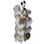 Kit 3 Hastes de Orquídeas em Silicone Branco 80 Cm