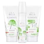 Kit Shampoo + Máscara + Leave-In Wella Professionals Elements Kit