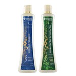 Kit Shampoo Progress 500ml + Hidratação de Impacto 500ml - Midori Profissional