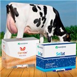 Kit Tratamento de Mastite Ourofino - 24 Ciprolac Vaca Seca + 24 Sellat