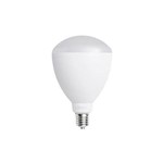 Lâmpada LED Irradiante 60W 6500K E-40 100º Bivolt EK5138703 - Eklart