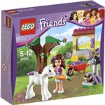 LEGO Friends - o Novo Filhote da Olivia