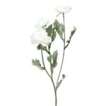 Lelly Flor Mini Ranunculus Branco/verde