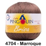 Linha Brisa Pingouin 100g - Cor: 4704 Marroque