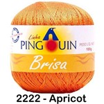 Linha Brisa Pingouin 100g - Cor: 2222 Apricot