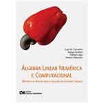 Livro - Álgebra Linear Numérica e Computacional - Métodos de Krylov para a Solução de Sistemas Lineares