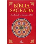 Livro Bíblia Nova Tradução na Linguagem de Hoje