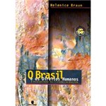 Livro - Brasil e os Direitos Humanos:A Incorporação dos Tratados em Questão,O
