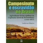 Livro - Campesinato e Escravidão no Brasil