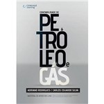 Livro - Contabilidade de Petróleo e Gás