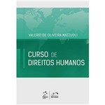 Livro - Curso de Direitos Humanos