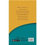 Livro - Direito Civil Brasileiro Vol. III - Contratos e Atos Unilaterais