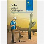 Livro - En Las Salinas Calchaquies