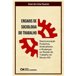 Livro - Ensaios de Sociologia do Trabalho - Reestruturação Produtiva, Sindicalismo e Mudanças no Mundo do Trabalho no Século XXI