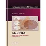 Livro - Fundamentos de Matemática - Álgebra: Estruturas Algébricas Básicas e Fundamentos da Teoria dos Números