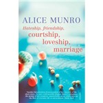 Livro - Hateship, Friendship, Courtship, Loveship, Marriage
