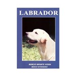 Livro - Labrador - Cuidados, Reprodução e Criação