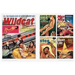 Livro - Men's Adventure Magazines In Postwar America